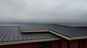 Metal Roofing in Thompson, ND